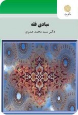 کتاب مبادی فقه اثر سید محمد صدری